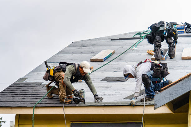 Professional Gutter Installation technician working in Maxwell, TX